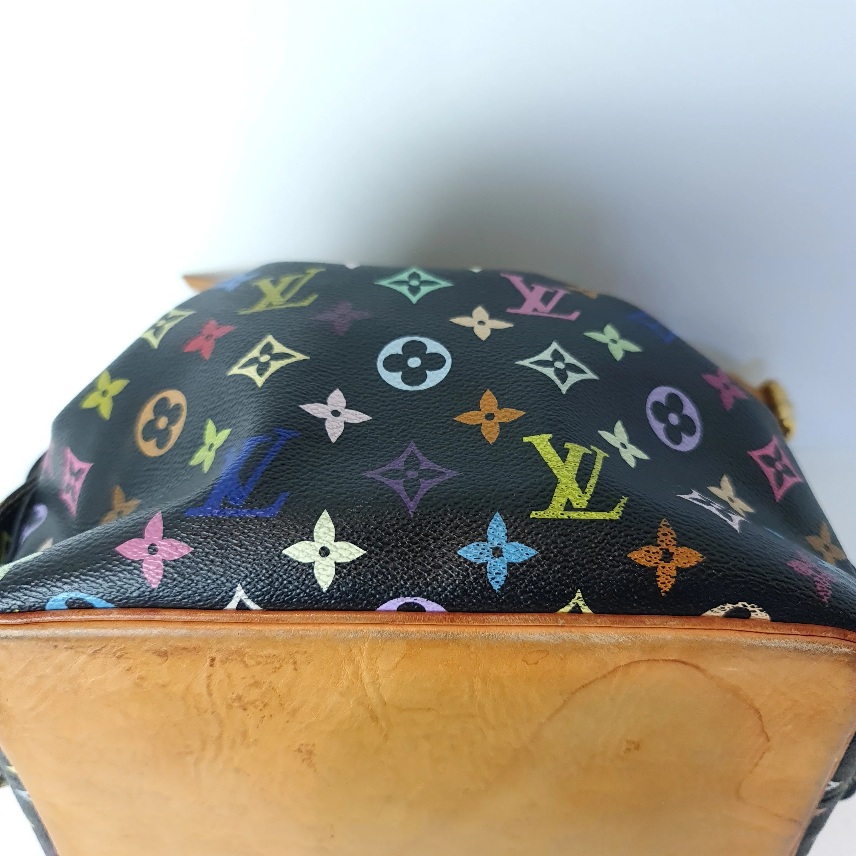 Louis Vuitton Noir Multicolore Petit Noe Bag - Image 12