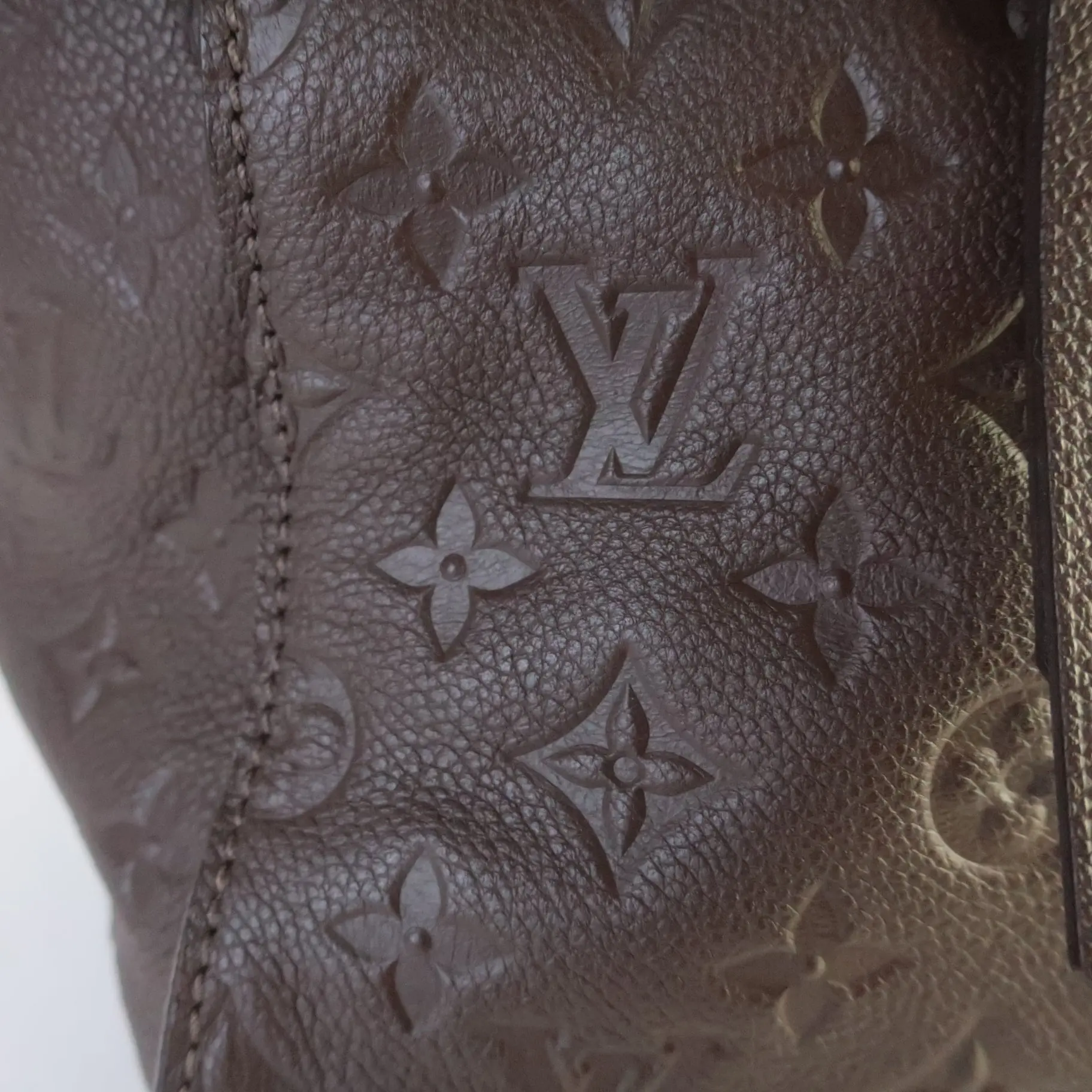 Louis Vuitton Brown Terre Monogram Empreinte Lumineuse PM Bag - Image 12