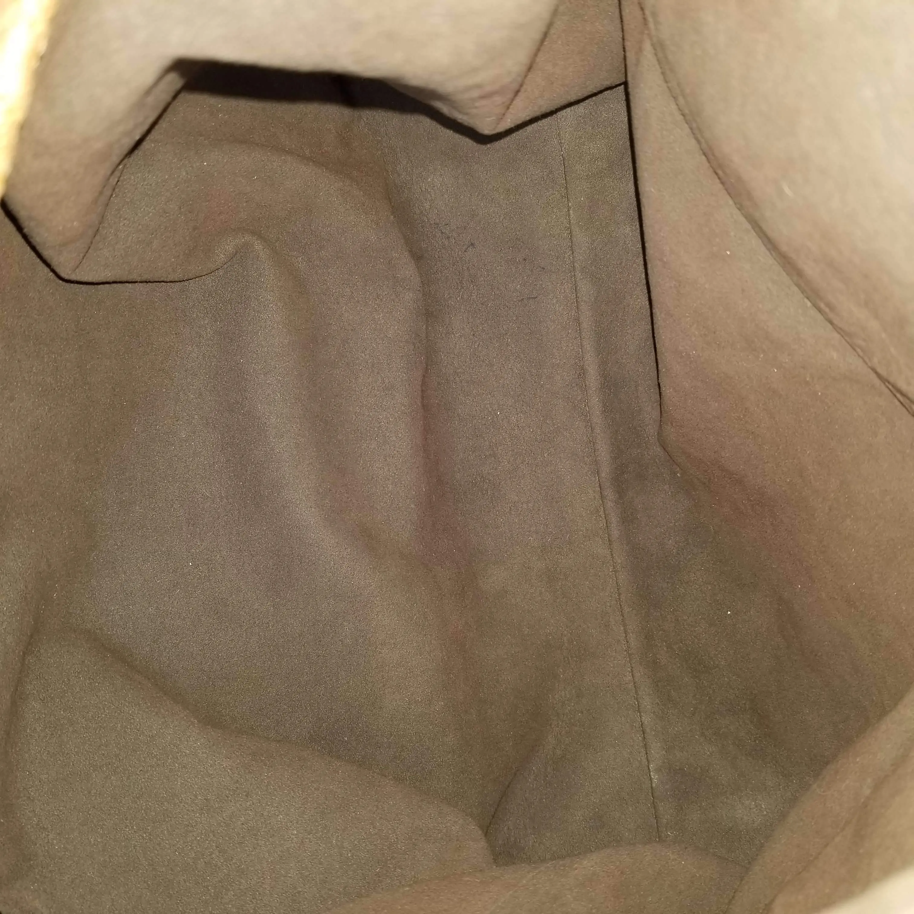 Louis Vuitton Caramel Monogram Antheia Leather Hobo PM Bag - Image 14