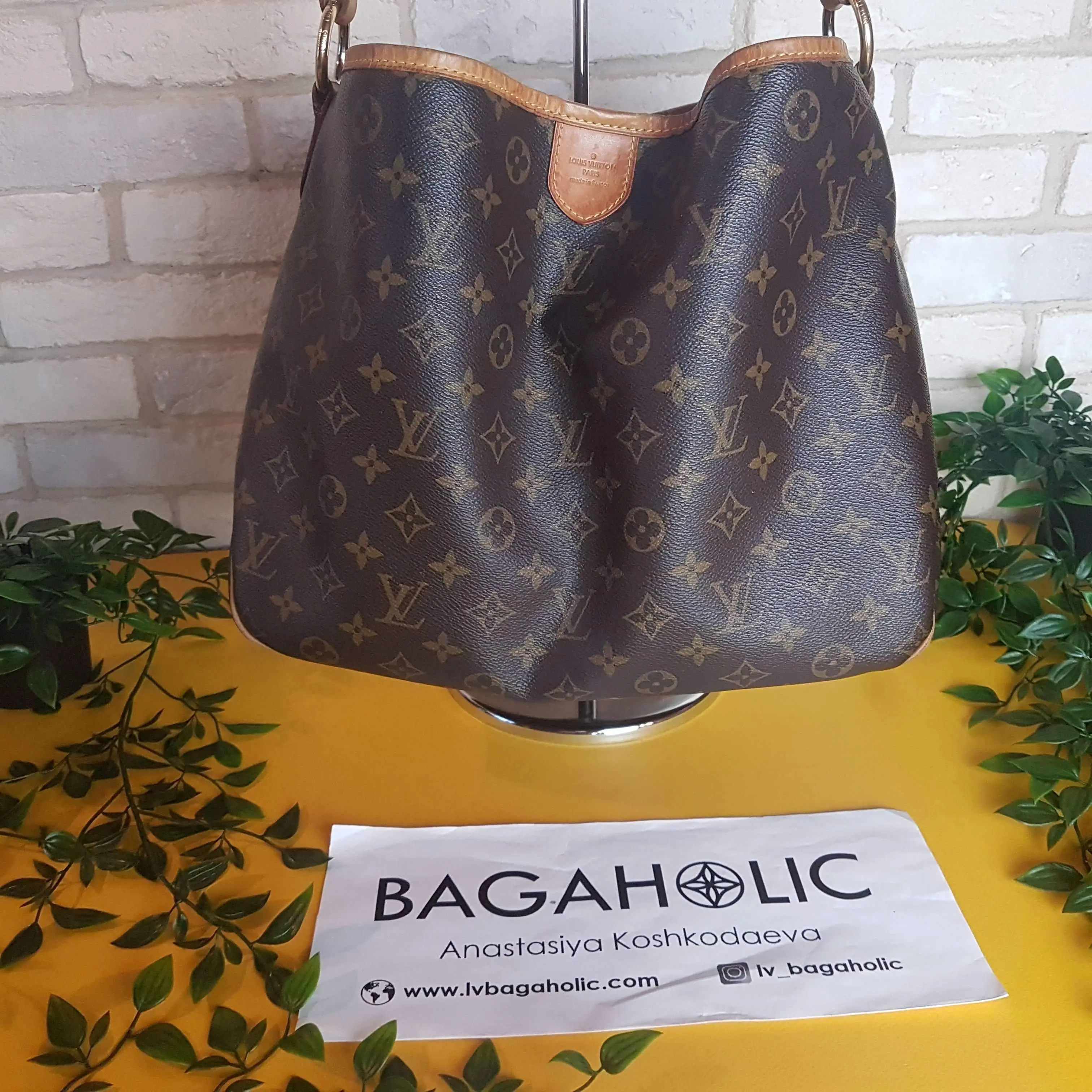 Louis Vuitton Delightfull Monogram Bag - Image 2