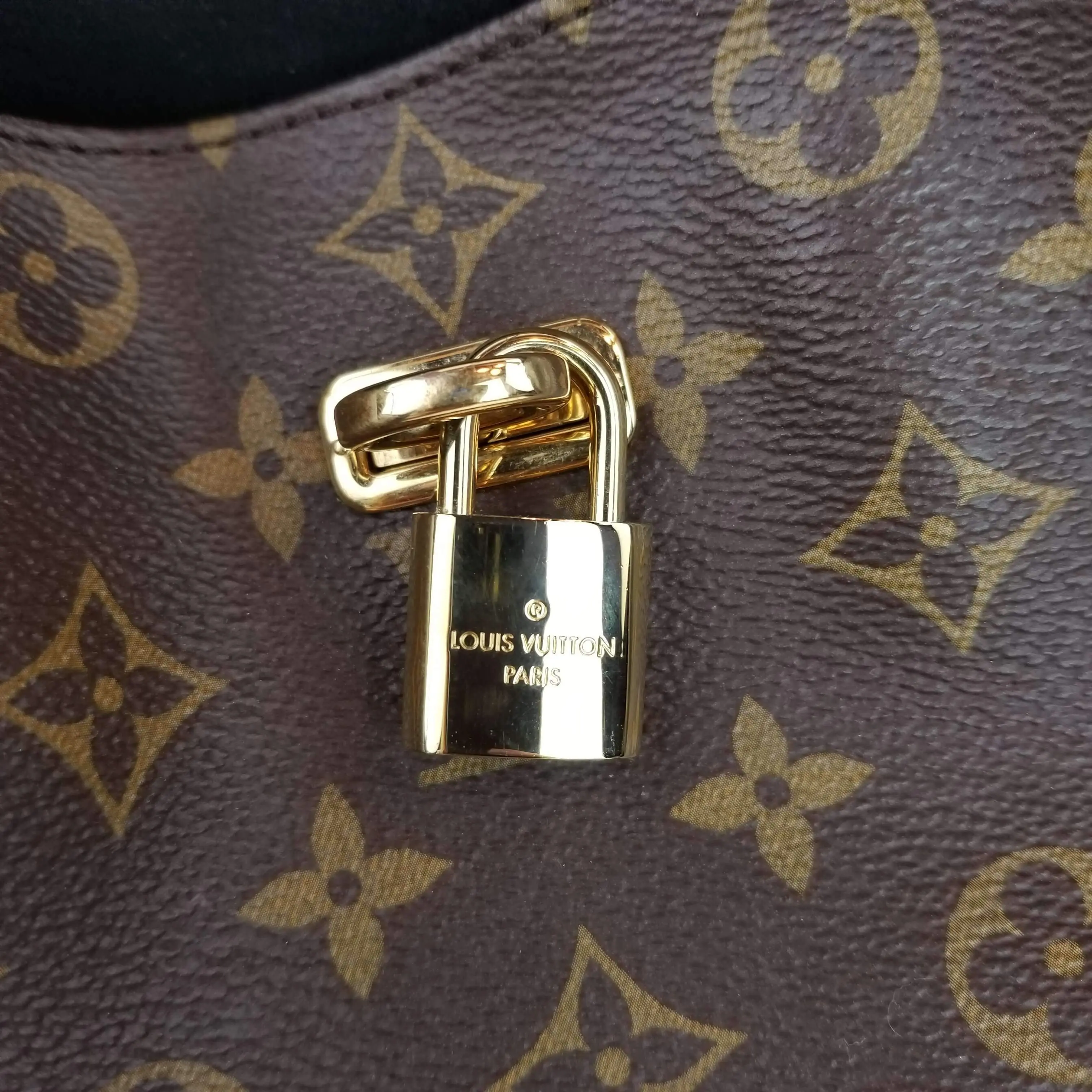 Louis Vuitton Monogram Canvas Noir Black Gaia Bag - Image 5