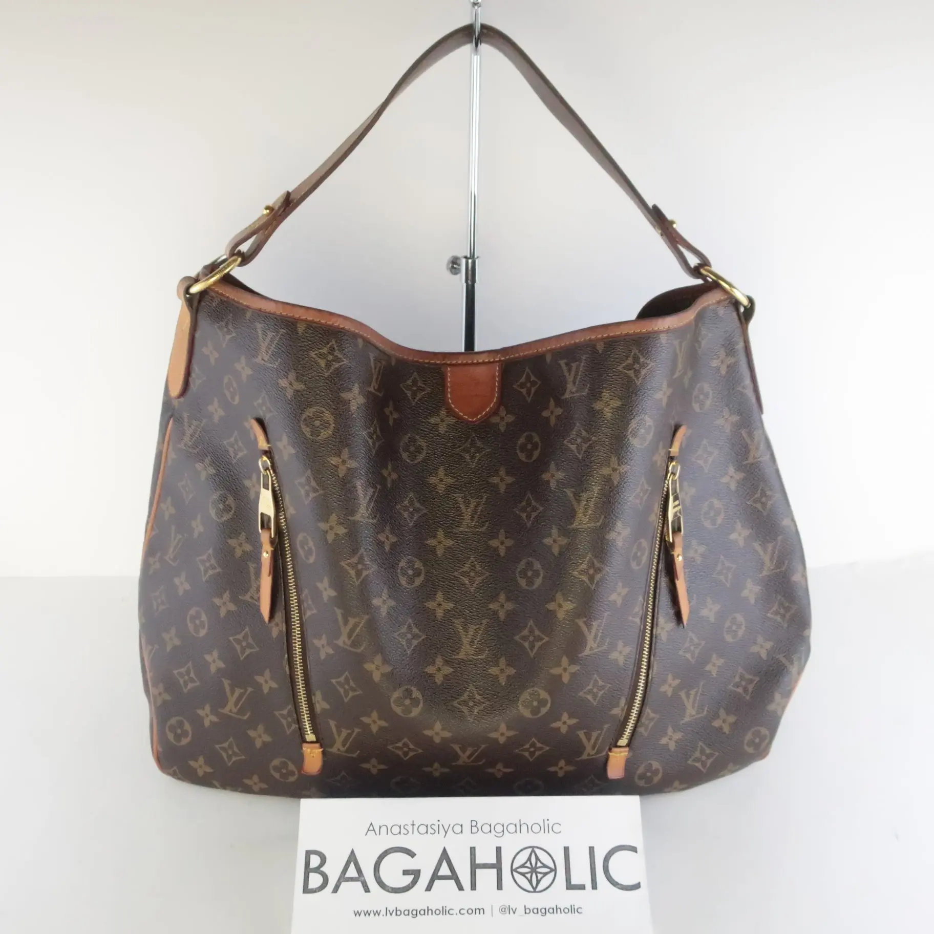 Louis Vuitton Monogram Canvas Delightful GM hobo Bag - Image 3