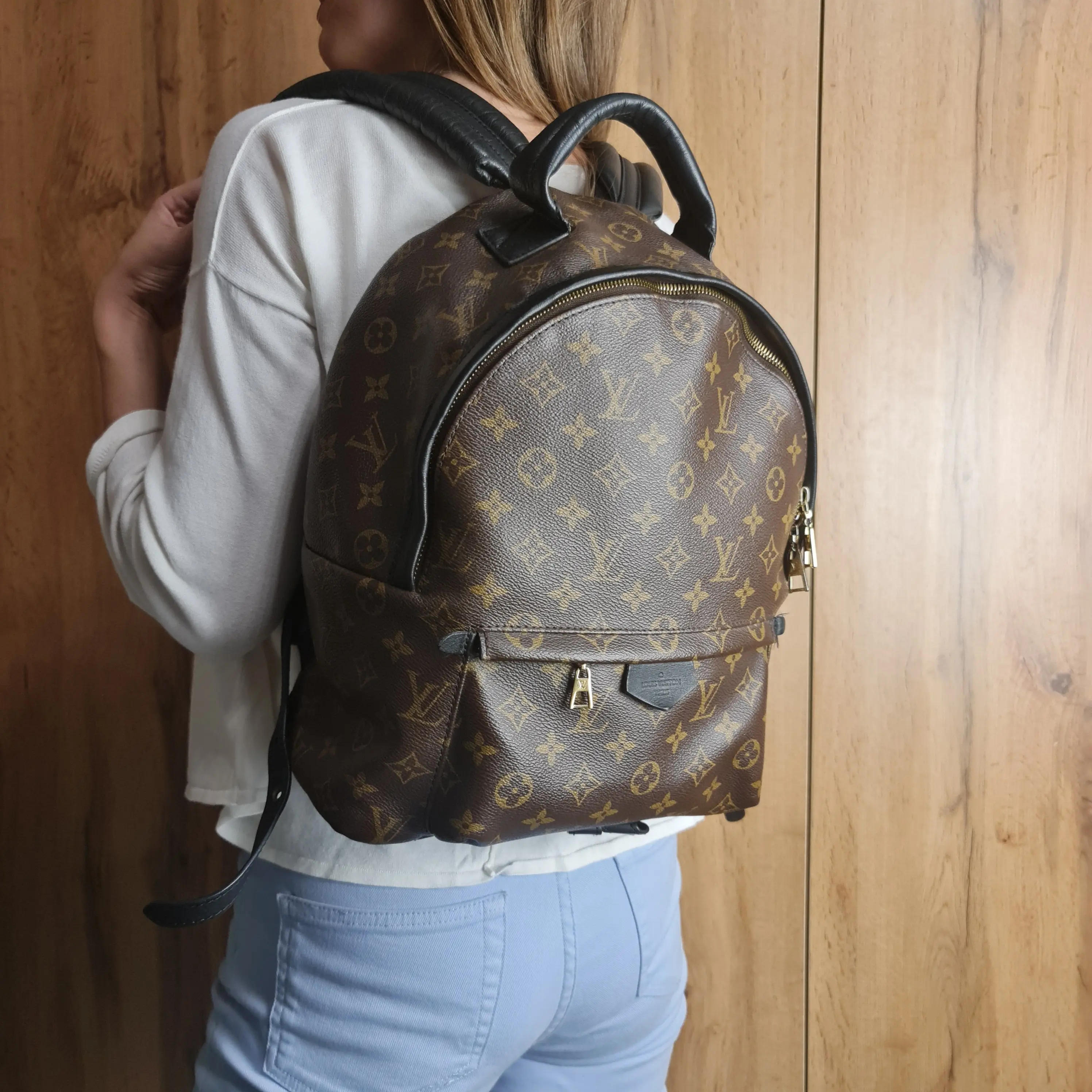 Louis Vuitton Monogram Canvas Palm Springs MM Backpack (766)