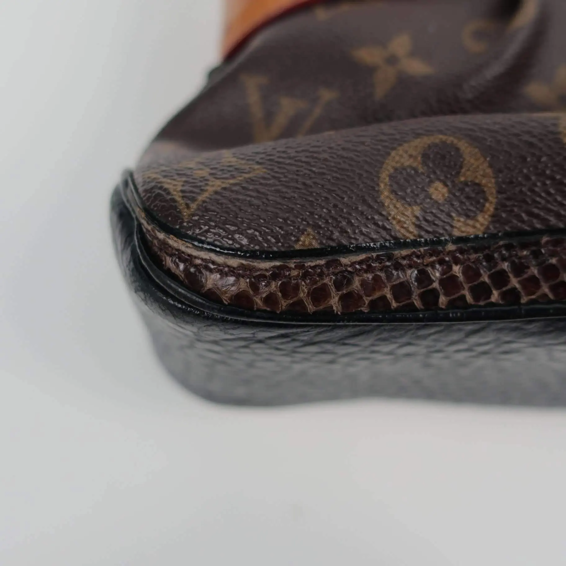 Louis Vuitton Oskar Waltz Ostrich bag - Image 15