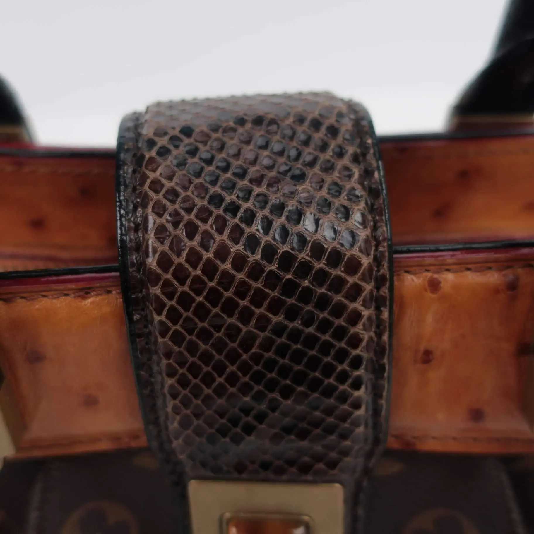Louis Vuitton Oskar Waltz Ostrich bag - Image 54