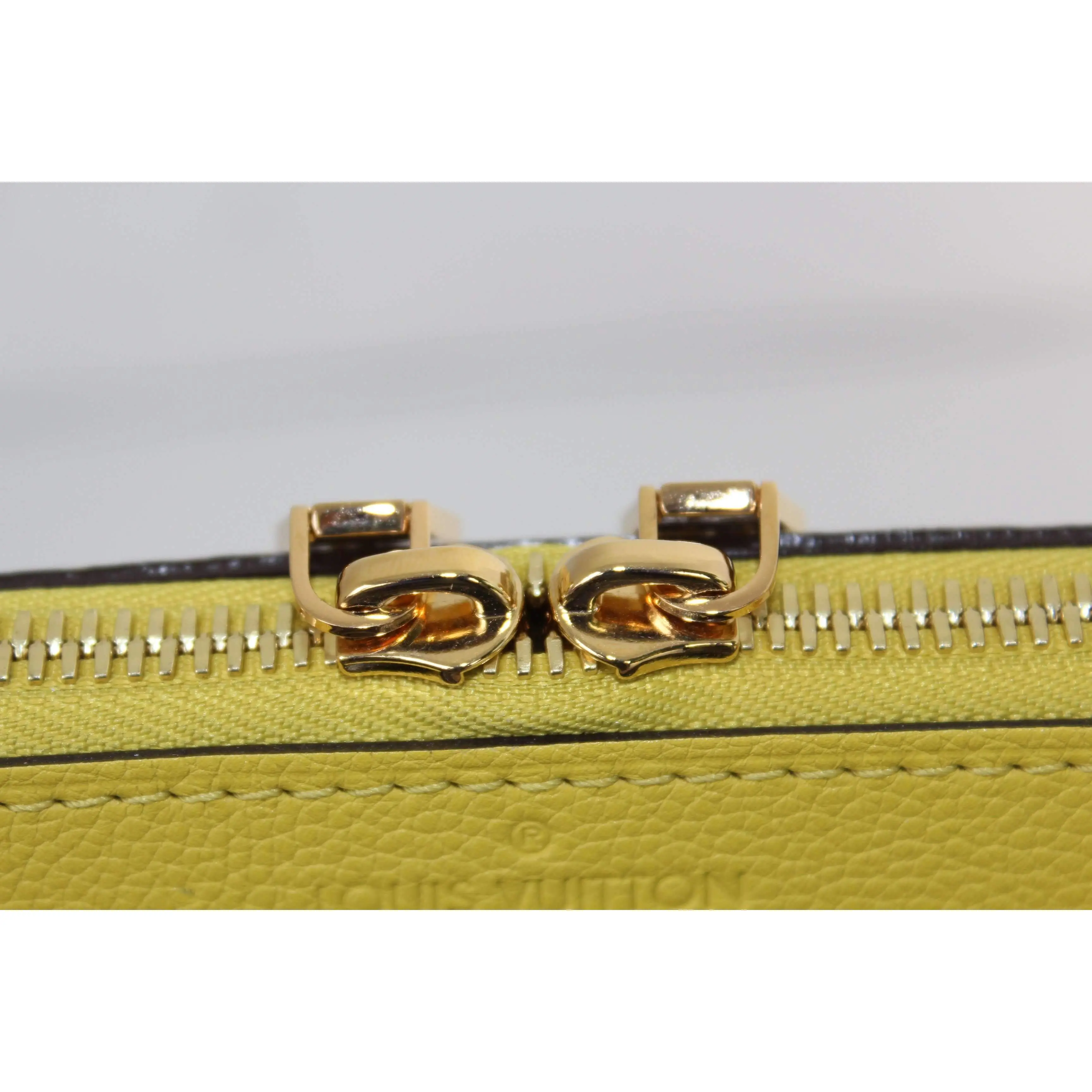 Louis Vuitton Pallas Pistache Monogram Bag NEW - Image 14